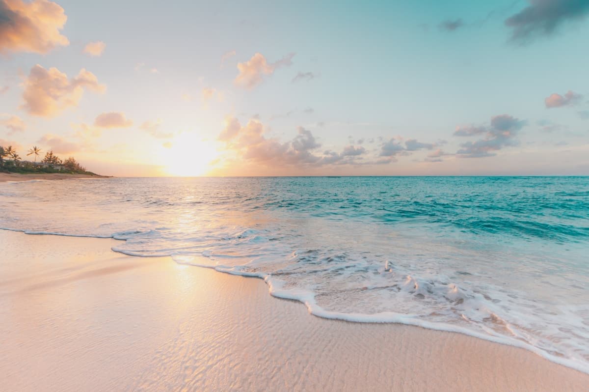 Beach party coastal escape